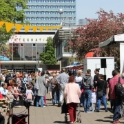 WordPress WCAG-Prüfung