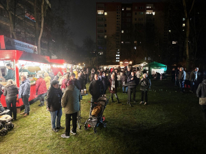 WordPress Website barrierefrei machen