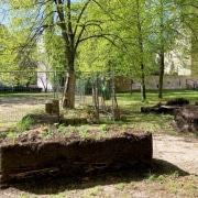 Blick auf den Gemeinschaftsgarten im Innenhof mit den Resten der zurückgebauten Hochbeete