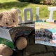 Soli-Bär sitzt draußen und blättert in der neuen Mitgliederzeitung der Wohnungsbaugenossenschaft Solidarität eG, daneben liegen 3 Ausgaben der Zeitung. Im Hintergrund sind die Buchstaben S, O, L, I zu sehen.