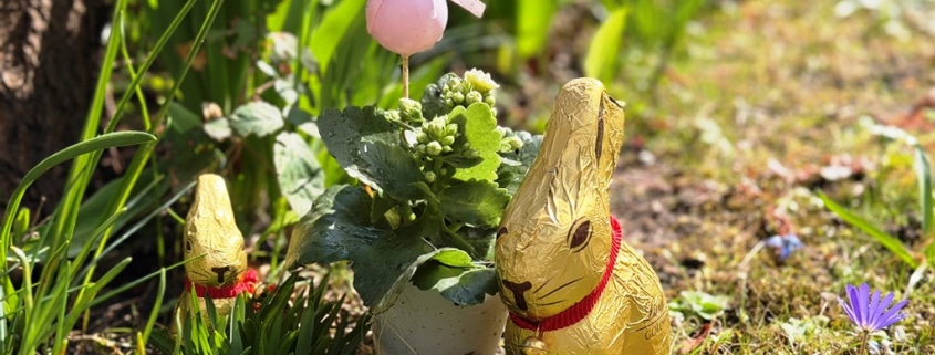 zwei goldenen Osterhasen sitzen auf einer Wiese. Ein Dekohase in rosa und lila ist zwischen Blumen zu sehen.